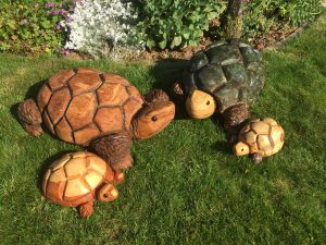 Schildkrötenfamilie